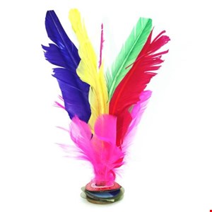 کتاب مرغ سوخاری برای جنازه